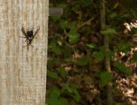 View photo in a new window