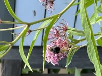 View photo in a new window