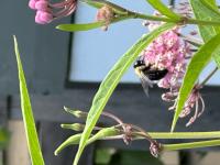 View photo in a new window