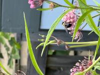 View photo in a new window