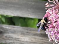 View photo in a new window