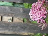 View photo in a new window