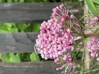 View photo in a new window