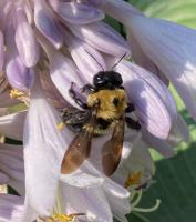 View photo in a new window