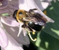 View photo in a new window