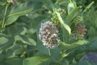 View photo in a new window