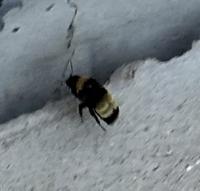 View photo in a new window