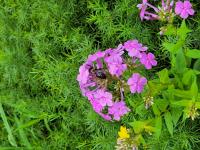 View photo in a new window