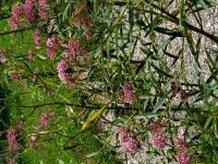 View photo in a new window