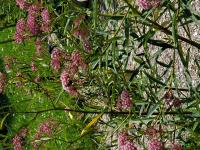 View photo in a new window