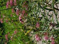 View photo in a new window