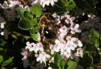 View photo in a new window