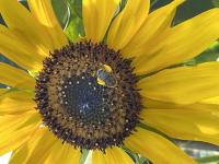 View photo in a new window