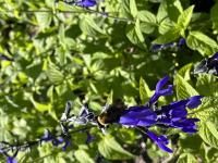 View photo in a new window