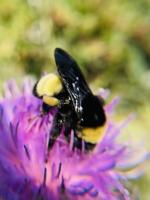 View photo in a new window