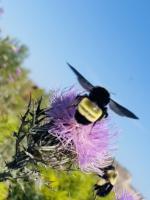 View photo in a new window