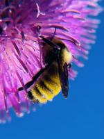 View photo in a new window