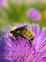 View photo in a new window