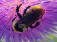 View photo in a new window