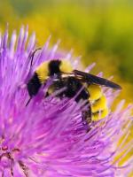 View photo in a new window