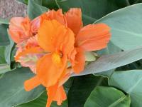 View photo in a new window