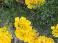 View photo in a new window