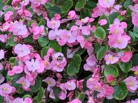 View photo in a new window