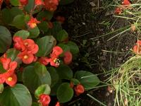 View photo in a new window