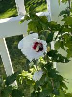 View photo in a new window