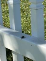 View photo in a new window