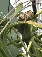 View photo in a new window