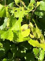 View photo in a new window