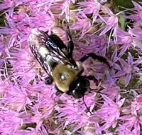 View photo in a new window