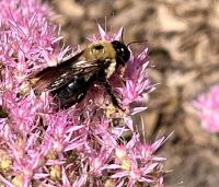 View photo in a new window