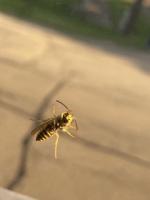 View photo in a new window