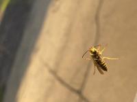 View photo in a new window