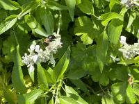 View photo in a new window