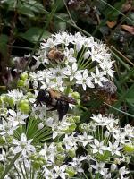 View photo in a new window