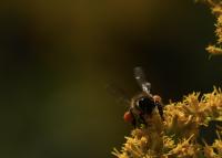 View photo in a new window