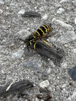 View photo in a new window