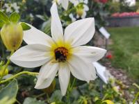 View photo in a new window