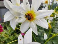 View photo in a new window