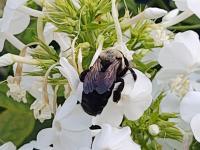 View photo in a new window