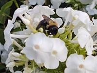 View photo in a new window