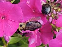 View photo in a new window