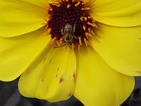 View photo in a new window