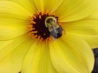 View photo in a new window