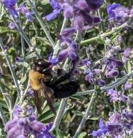 View photo in a new window