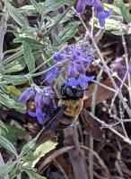 View photo in a new window