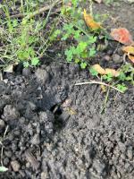 View photo in a new window